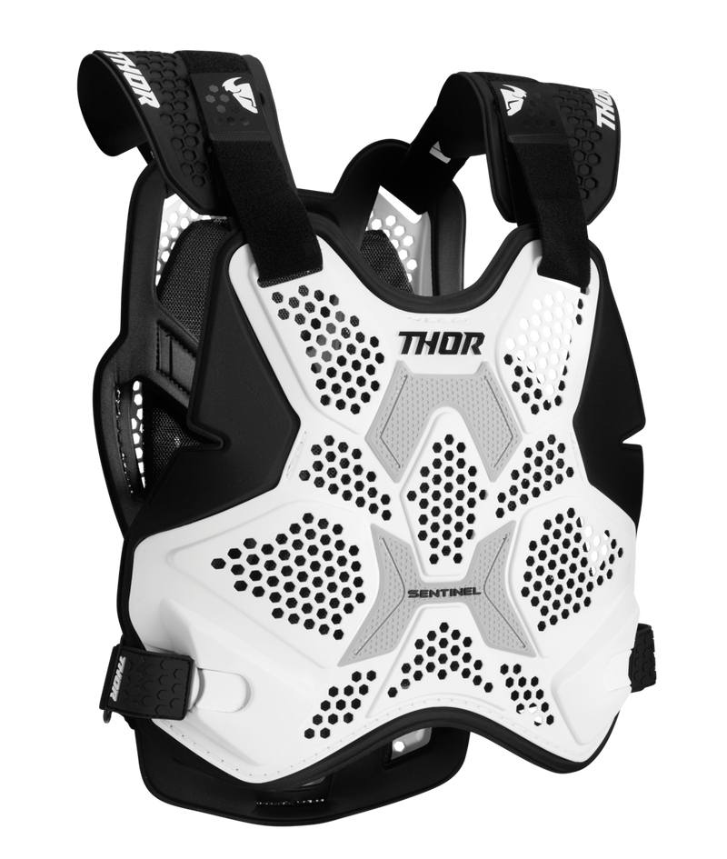 Thor Sentinel Pro Guard