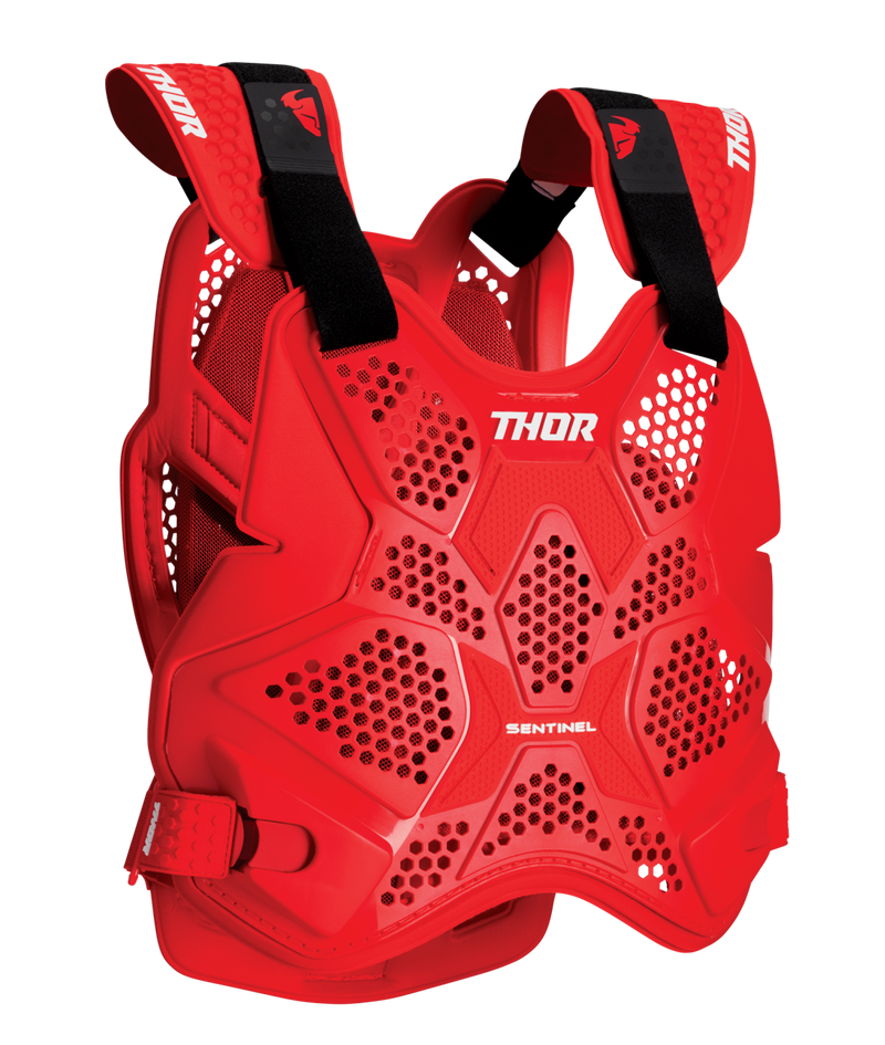 Thor Sentinel Pro Guard