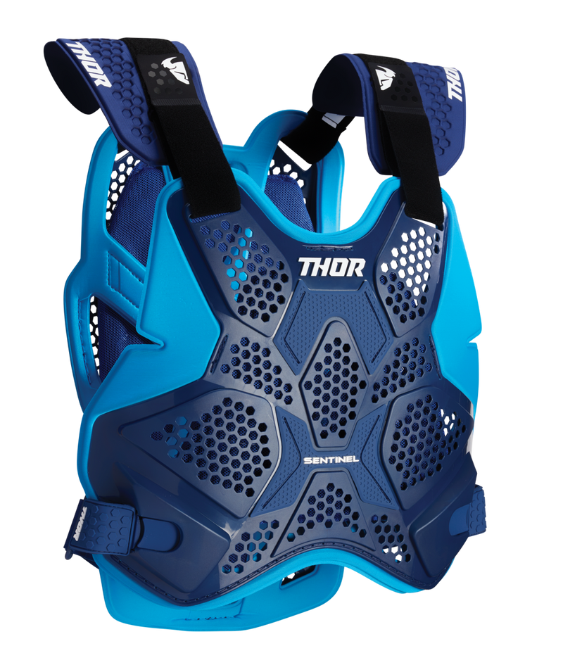 Thor Sentinel Pro Guard