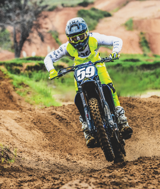 Thor Sentinel LTD Roost Guard