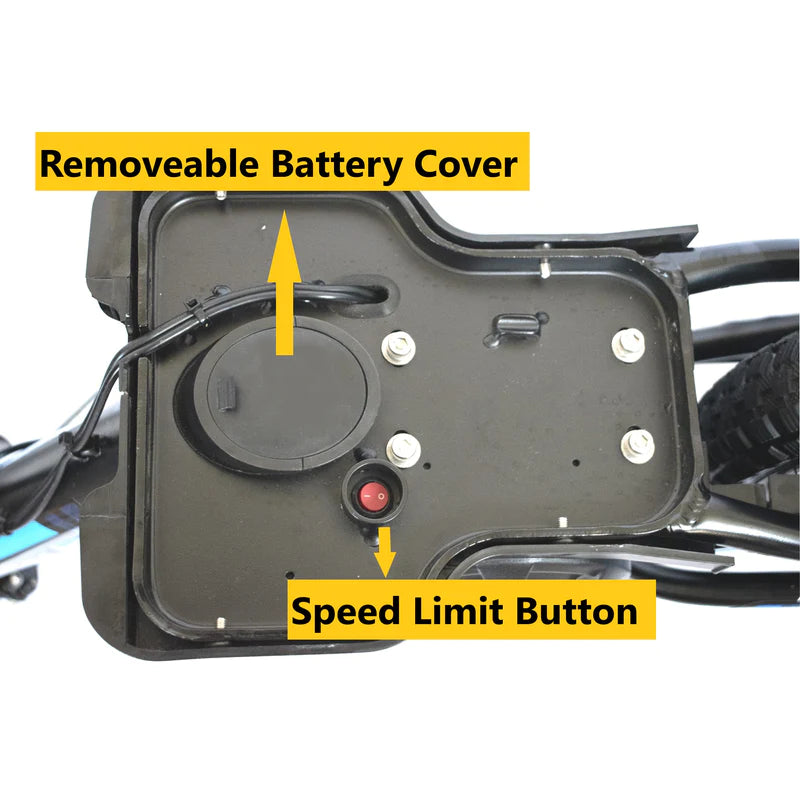 Voltaic 16'' Lion PRO Kids Electric Dirt Bike